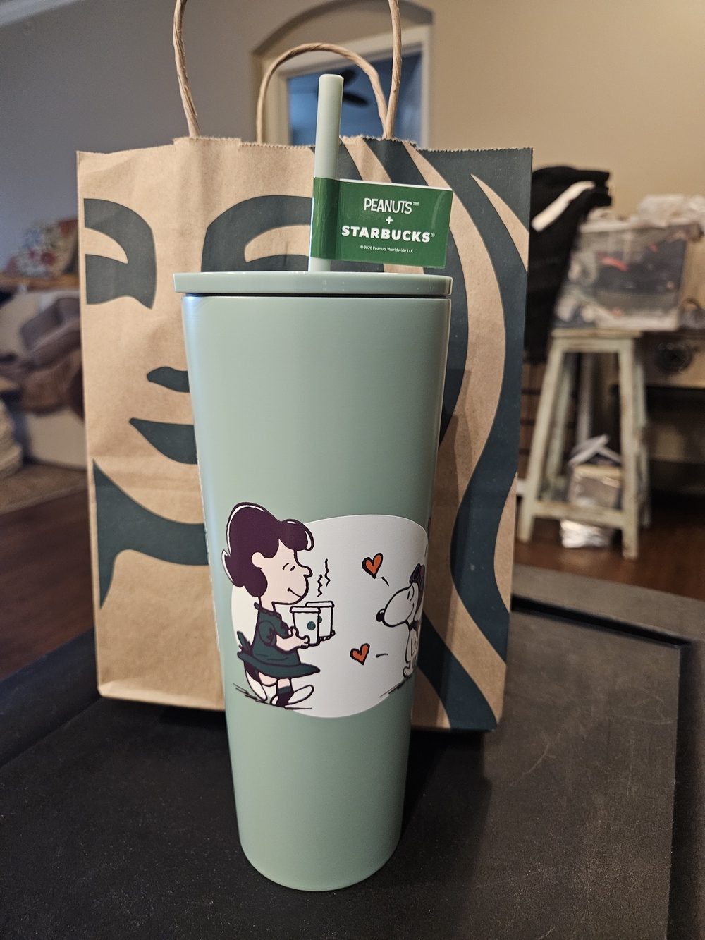 Starbucks Peanuts + Starbucks Stainless Steel Cold Cup Green & Black NWT